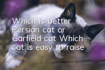 Which is better, Persian cat or Garfield cat? Which cat is easy to raise?