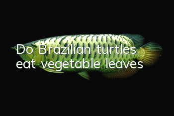 Do Brazilian turtles eat vegetable leaves?