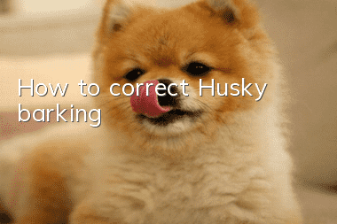 How to correct Husky barking