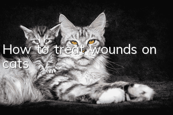 How to treat wounds on cats?