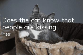 Does the cat know that people are kissing her?