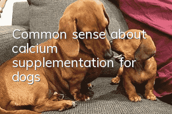 Common sense about calcium supplementation for dogs