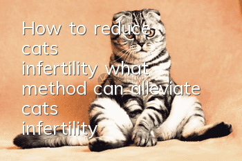 How to reduce cat's infertility, what method can alleviate cat's infertility?