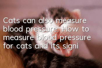 Cats can also measure blood pressure. How to measure blood pressure for cats and its significance!