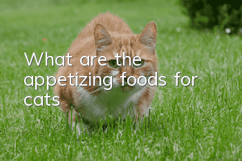 What are the appetizing foods for cats?