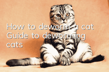 How to deworm a cat? Guide to deworming cats!