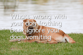 What’s wrong with your dog frothing? Don’t ignore your dog’s vomiting!