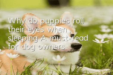 Why do puppies roll their eyes when sleeping? A must-read for dog owners!