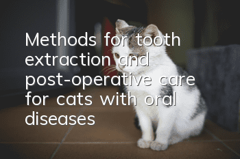 Methods for tooth extraction and post-operative care for cats with oral diseases