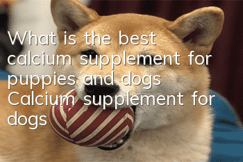 What is the best calcium supplement for puppies and dogs? Calcium supplement for dogs!