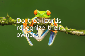 Do tree lizards recognize their owners?