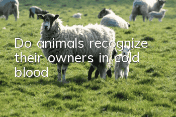 Do animals recognize their owners in cold blood?