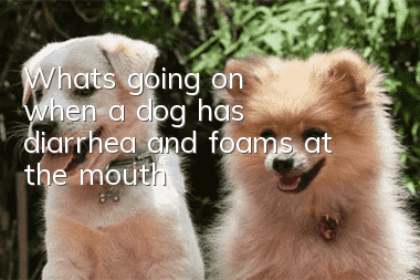 What's going on when a dog has diarrhea and foams at the mouth?