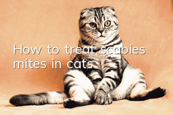 How to treat scabies mites in cats?