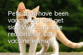 Pets that have been vaccinated still get sick? What are the reasons for cat vaccine immunity failure?