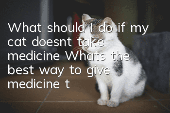 What should I do if my cat doesn’t take medicine? What’s the best way to give medicine to my cat?