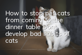 How to stop pet cats from coming to the dinner table? Don’t develop bad habits of cats!