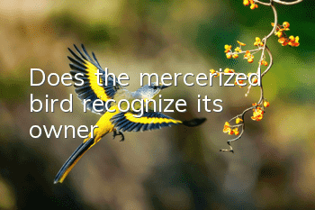 Does the mercerized bird recognize its owner?