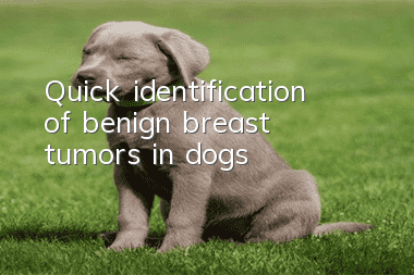 Quick identification of benign breast tumors in dogs