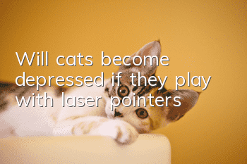 Will cats become depressed if they play with laser pointers?