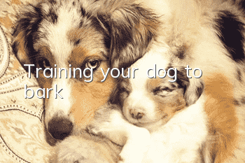 Training your dog to bark