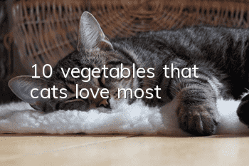 10 vegetables that cats love most