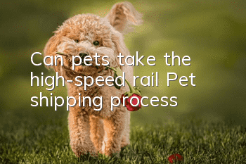 Can pets take the high-speed rail? Pet shipping process!