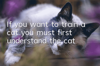 If you want to train a cat, you must first understand the cat