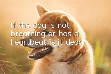 If the dog is not breathing or has a heartbeat, is it dead?