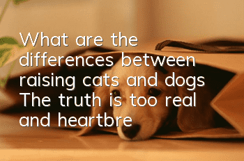 What are the differences between raising cats and dogs? The truth is too real and heartbreaking!