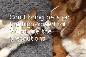 Can I bring pets on the high-speed rail? What are the precautions?