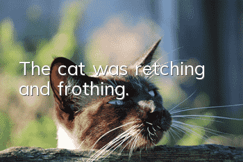 The cat was retching and frothing.