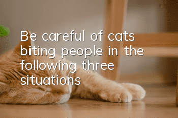 Be careful of cats biting people in the following three situations: