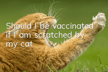 Should I be vaccinated if I am scratched by my cat?