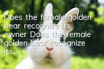 Does the female golden bear recognize its owner? Does the female golden bear recognize its owner?