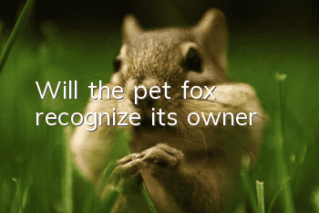 Will the pet fox recognize its owner?