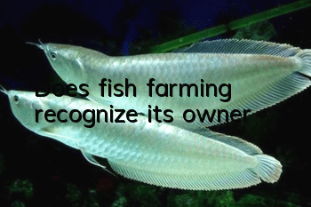 Does fish farming recognize its owner?