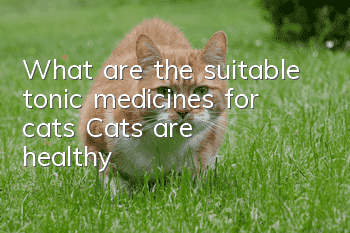 What are the suitable tonic medicines for cats? Cats are healthy!