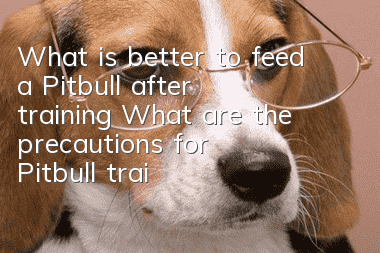 What is better to feed a Pitbull after training? What are the precautions for Pitbull training and feeding!