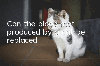 Can the blood mat produced by a cat be replaced?