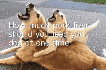 How much pork liver should you feed your dog at one time?