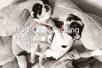 Dog family eating habits