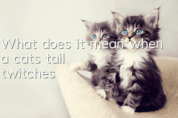 What does it mean when a cat's tail twitches?