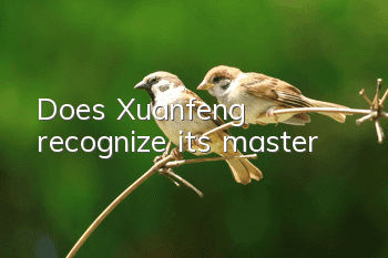 Does Xuanfeng recognize its master?