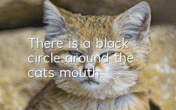 There is a black circle around the cat's mouth