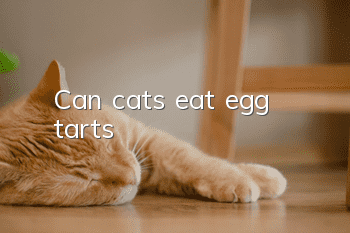 Can cats eat egg tarts?