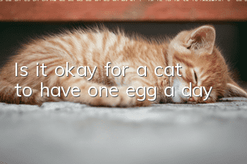 Is it okay for a cat to have one egg a day?