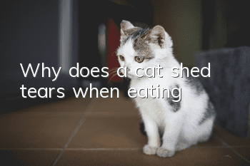 Why does a cat shed tears when eating?