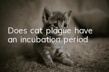 Does cat plague have an incubation period?