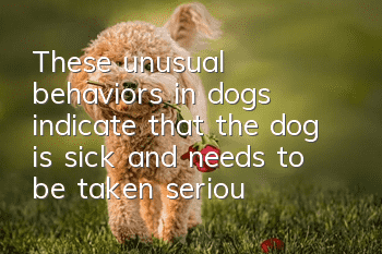 These unusual behaviors in dogs indicate that the dog is sick and needs to be taken seriously!